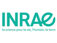 Design sans titre (3)