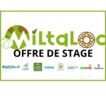 Offre de stage : MILTALOC