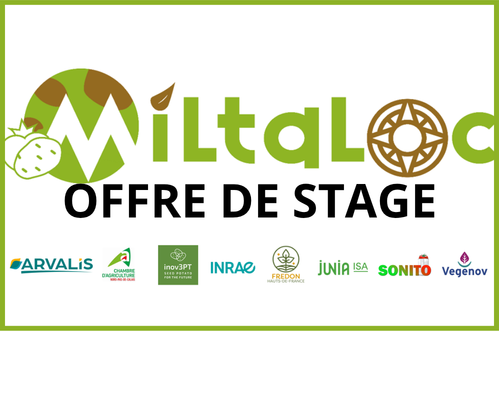 Offre de stage : MILTALOC